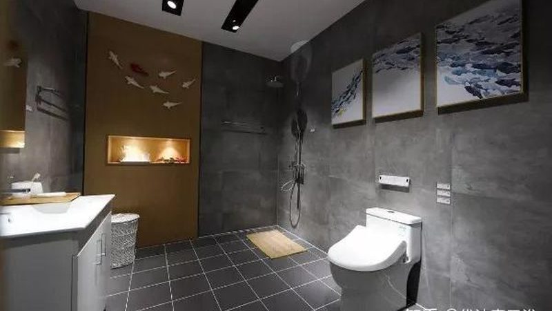 广州壁挂马桶，如何挑选合适的价格与品质？**
